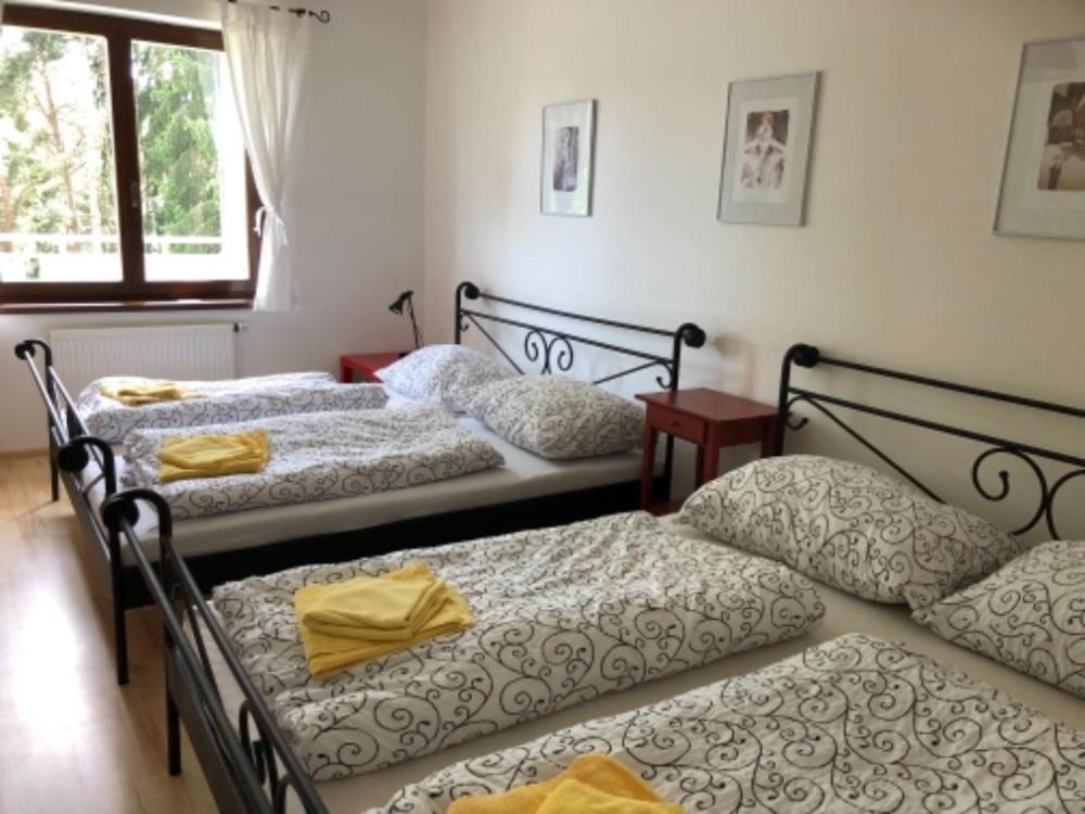 ליפנו נאד וויטאבו Apartmany Lipno Boucek מראה חיצוני תמונה